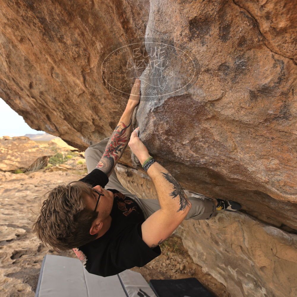 

Filename: SRM_20260104_1011490.jpg
Aperture: f/5.6
Shutter Speed: 1/500
Body: Canon EOS R6
Lens: Canon EF 16-35mm f/2.8 L