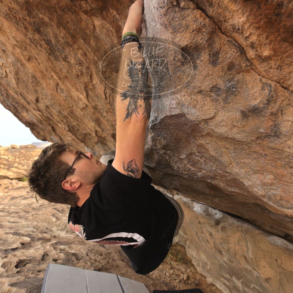 

Filename: SRM_20260104_1011500.jpg
Aperture: f/5.6
Shutter Speed: 1/500
Body: Canon EOS R6
Lens: Canon EF 16-35mm f/2.8 L