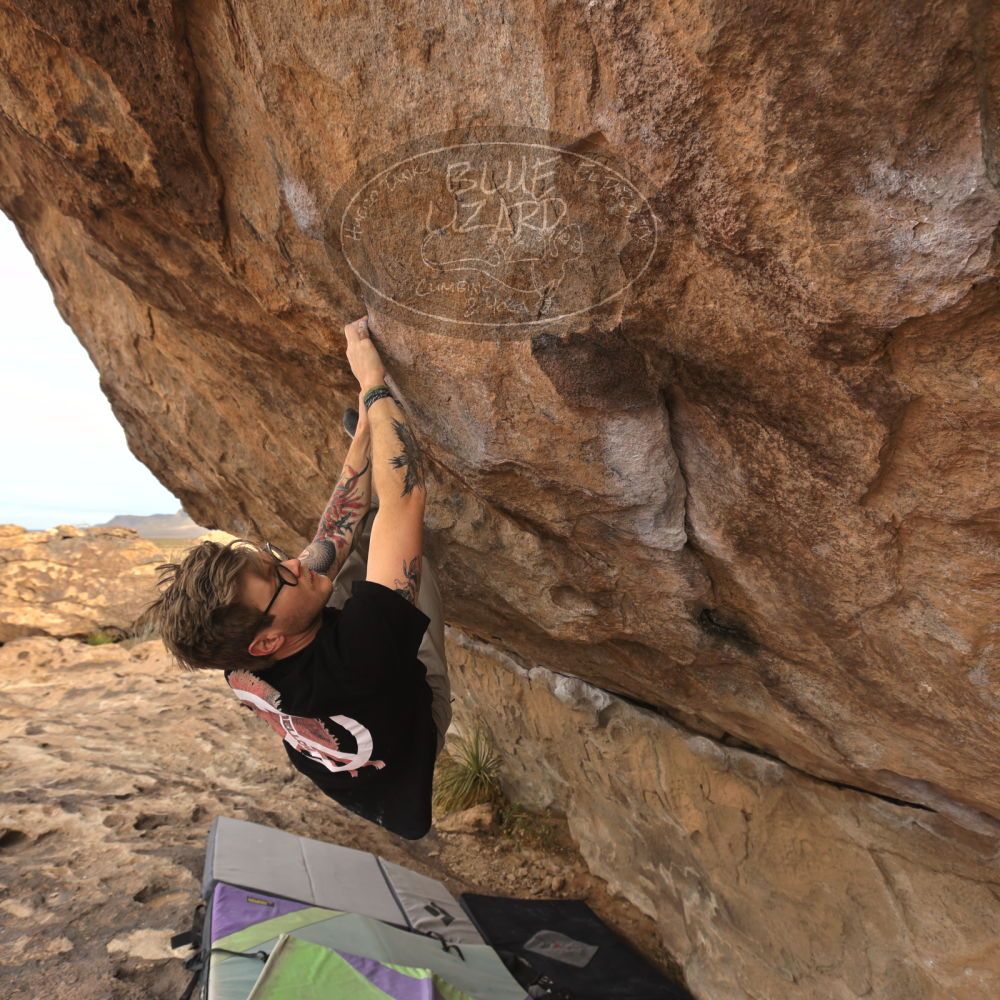 

Filename: SRM_20260104_1012060.jpg
Aperture: f/5.6
Shutter Speed: 1/500
Body: Canon EOS R6
Lens: Canon EF 16-35mm f/2.8 L