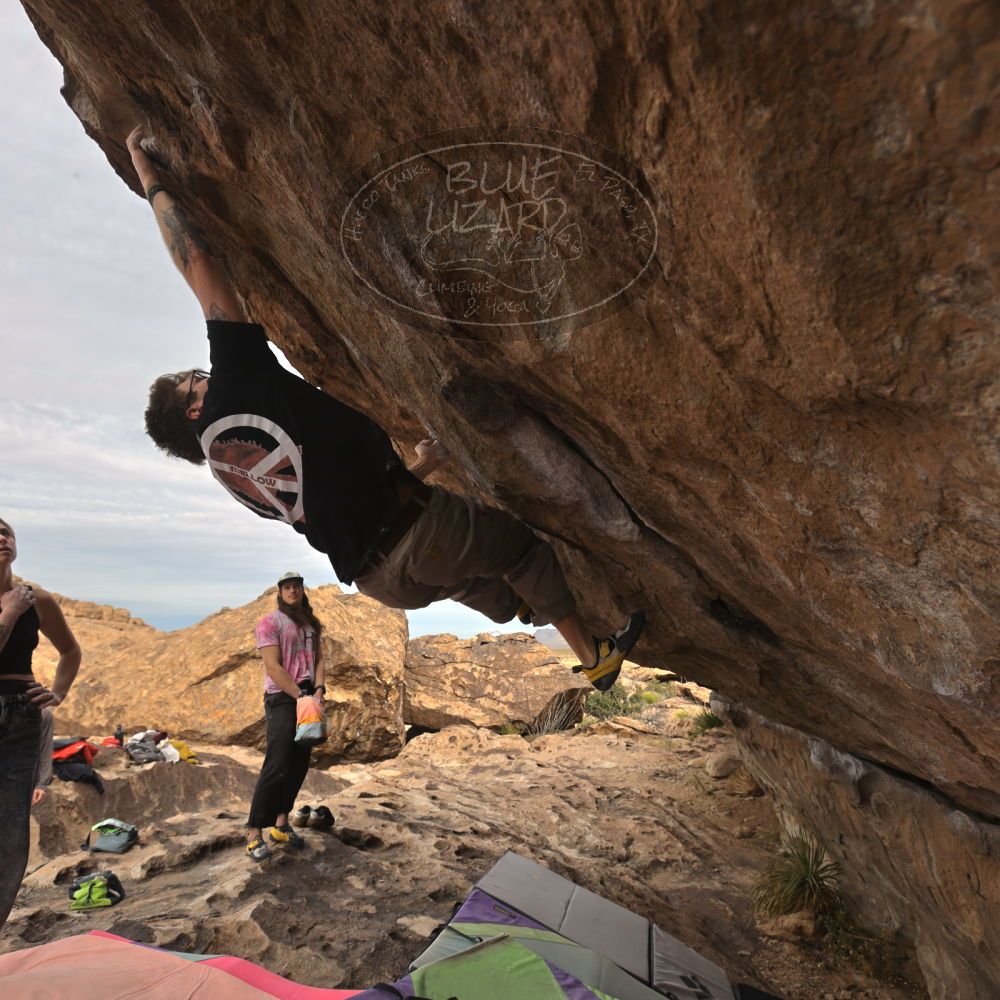 

Filename: SRM_20260104_1012140.jpg
Aperture: f/5.6
Shutter Speed: 1/500
Body: Canon EOS R6
Lens: Canon EF 16-35mm f/2.8 L