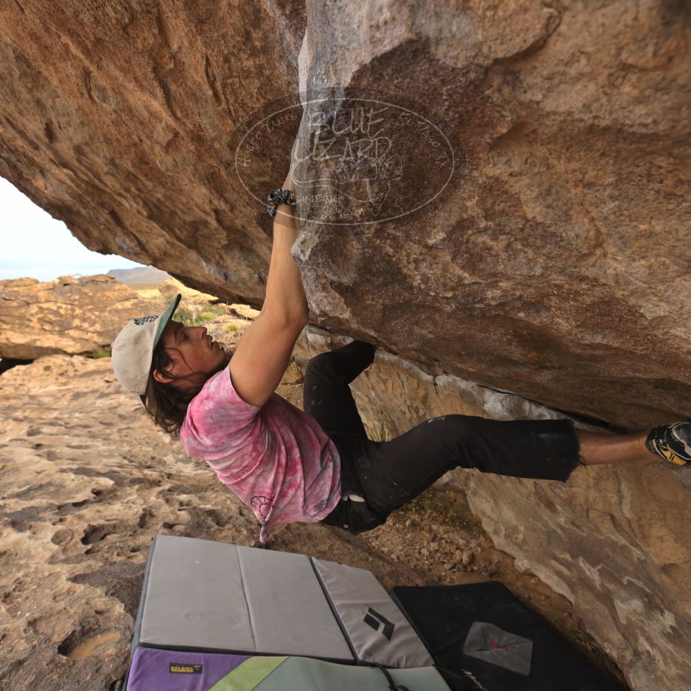 

Filename: SRM_20260104_1013290.jpg
Aperture: f/5.6
Shutter Speed: 1/500
Body: Canon EOS R6
Lens: Canon EF 16-35mm f/2.8 L