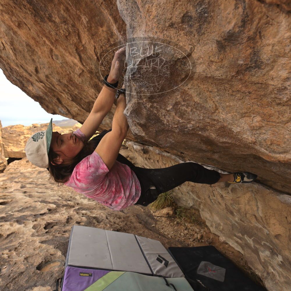 

Filename: SRM_20260104_1013330.jpg
Aperture: f/5.6
Shutter Speed: 1/500
Body: Canon EOS R6
Lens: Canon EF 16-35mm f/2.8 L