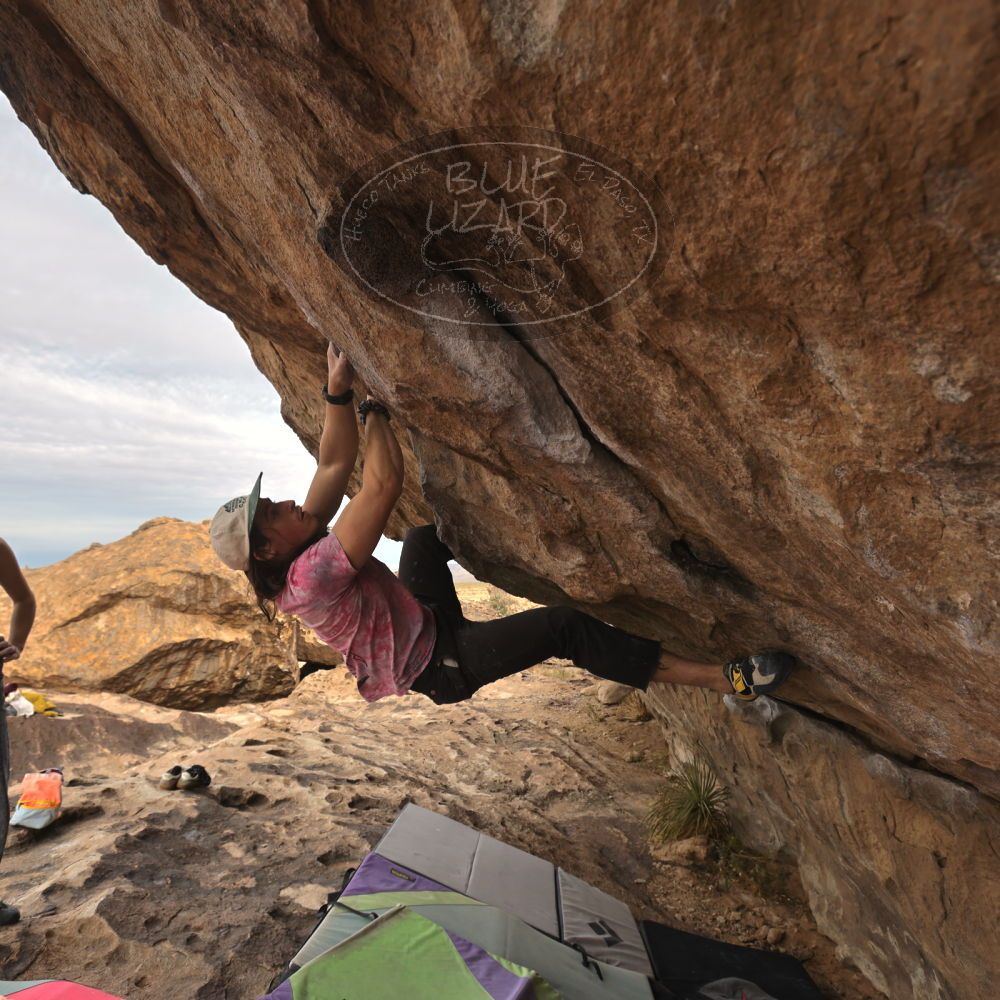 

Filename: SRM_20260104_1013400.jpg
Aperture: f/5.6
Shutter Speed: 1/500
Body: Canon EOS R6
Lens: Canon EF 16-35mm f/2.8 L