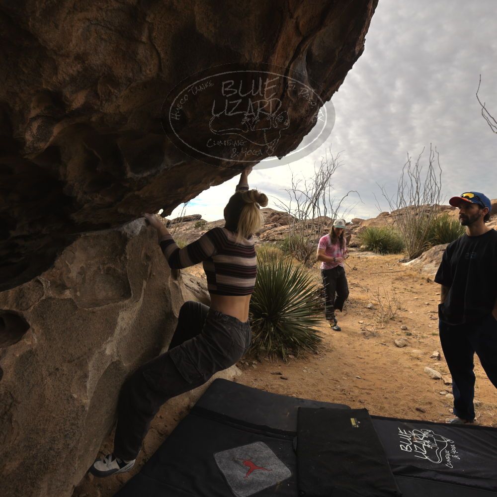 

Filename: SRM_20260104_1016190.jpg
Aperture: f/5.6
Shutter Speed: 1/500
Body: Canon EOS R6
Lens: Canon EF 16-35mm f/2.8 L