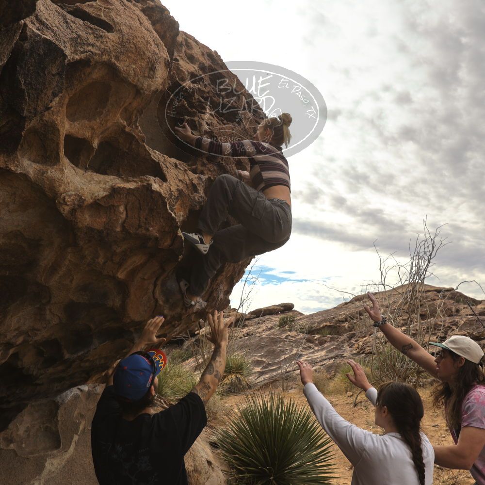 Filename: SRM_20260104_1016550.jpg
Aperture: f/5.6
Shutter Speed: 1/500
Body: Canon EOS R6
Lens: Canon EF 16-35mm f/2.8 L