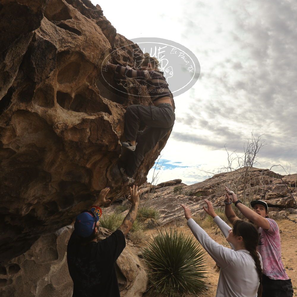 Filename: SRM_20260104_1016570.jpg
Aperture: f/5.6
Shutter Speed: 1/500
Body: Canon EOS R6
Lens: Canon EF 16-35mm f/2.8 L