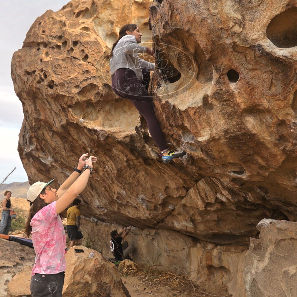 Filename: SRM_20260104_1018340.jpg
Aperture: f/5.6
Shutter Speed: 1/500
Body: Canon EOS R6
Lens: Canon EF 16-35mm f/2.8 L