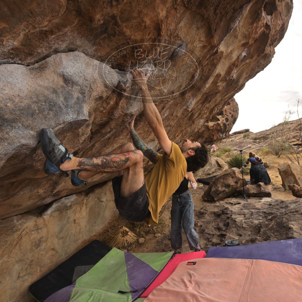 

Filename: SRM_20260104_1019310.jpg
Aperture: f/5.6
Shutter Speed: 1/500
Body: Canon EOS R6
Lens: Canon EF 16-35mm f/2.8 L