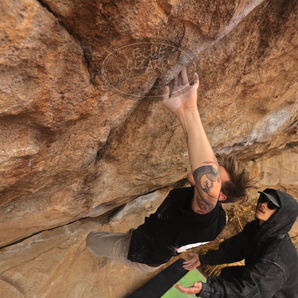 

Filename: SRM_20260104_1022322.jpg
Aperture: f/5.6
Shutter Speed: 1/500
Body: Canon EOS R6
Lens: Canon EF 16-35mm f/2.8 L