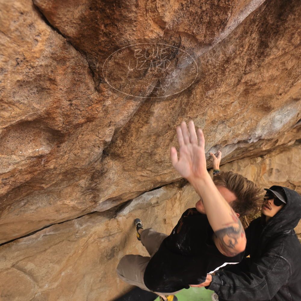 

Filename: SRM_20260104_1022323.jpg
Aperture: f/5.6
Shutter Speed: 1/500
Body: Canon EOS R6
Lens: Canon EF 16-35mm f/2.8 L