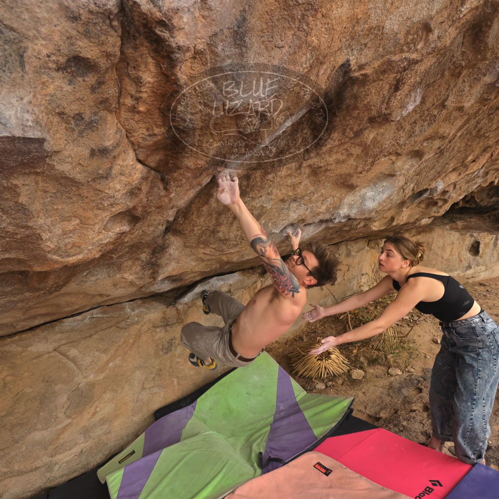 

Filename: SRM_20260104_1025560.jpg
Aperture: f/5.6
Shutter Speed: 1/500
Body: Canon EOS R6
Lens: Canon EF 16-35mm f/2.8 L