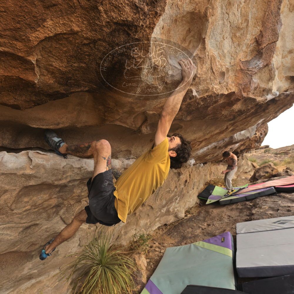 

Filename: SRM_20260104_1027320.jpg
Aperture: f/5.6
Shutter Speed: 1/500
Body: Canon EOS R6
Lens: Canon EF 16-35mm f/2.8 L