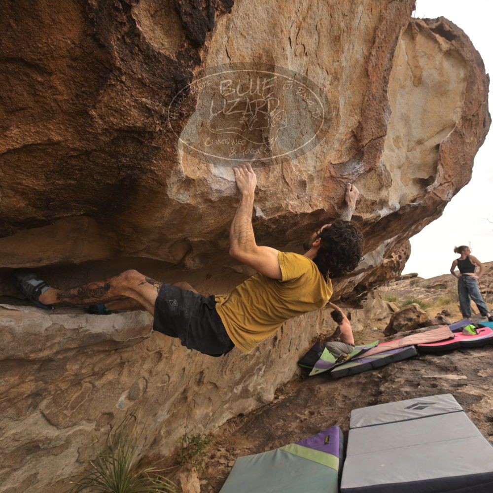 

Filename: SRM_20260104_1027360.jpg
Aperture: f/5.6
Shutter Speed: 1/500
Body: Canon EOS R6
Lens: Canon EF 16-35mm f/2.8 L