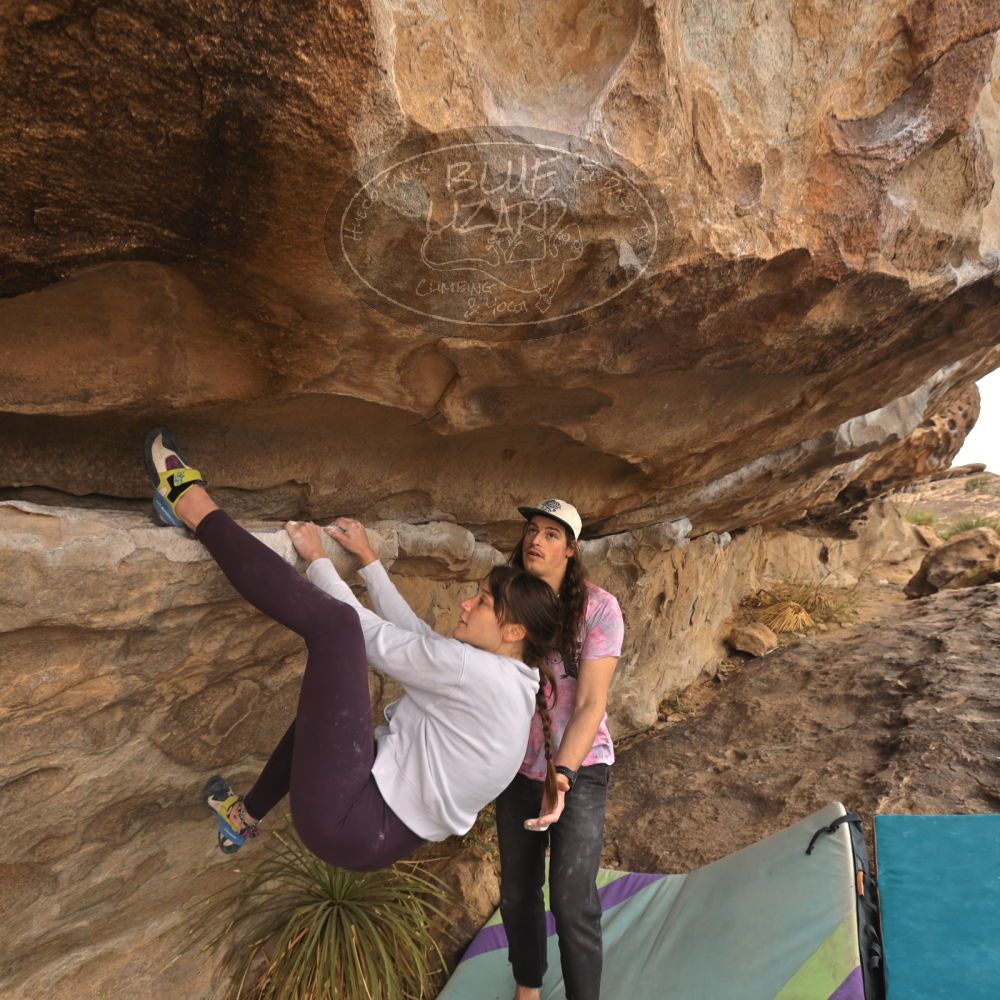 

Filename: SRM_20260104_1041530.jpg
Aperture: f/5.6
Shutter Speed: 1/125
Body: Canon EOS R6
Lens: Canon EF 16-35mm f/2.8 L