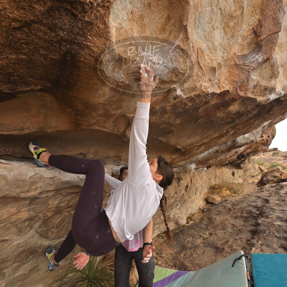 Filename: SRM_20260104_1041550.jpg
Aperture: f/5.6
Shutter Speed: 1/125
Body: Canon EOS R6
Lens: Canon EF 16-35mm f/2.8 L