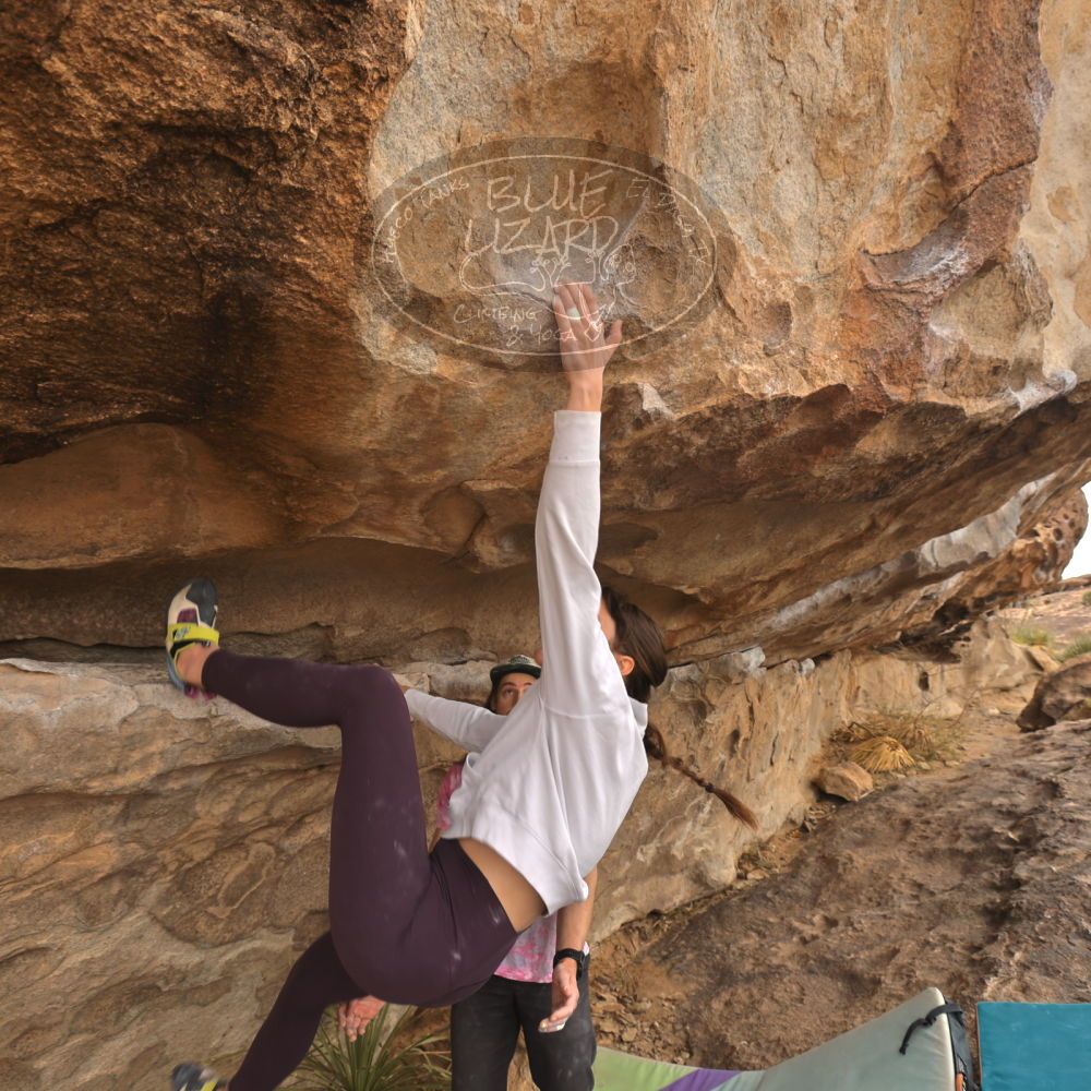 

Filename: SRM_20260104_1041590.jpg
Aperture: f/5.6
Shutter Speed: 1/125
Body: Canon EOS R6
Lens: Canon EF 16-35mm f/2.8 L