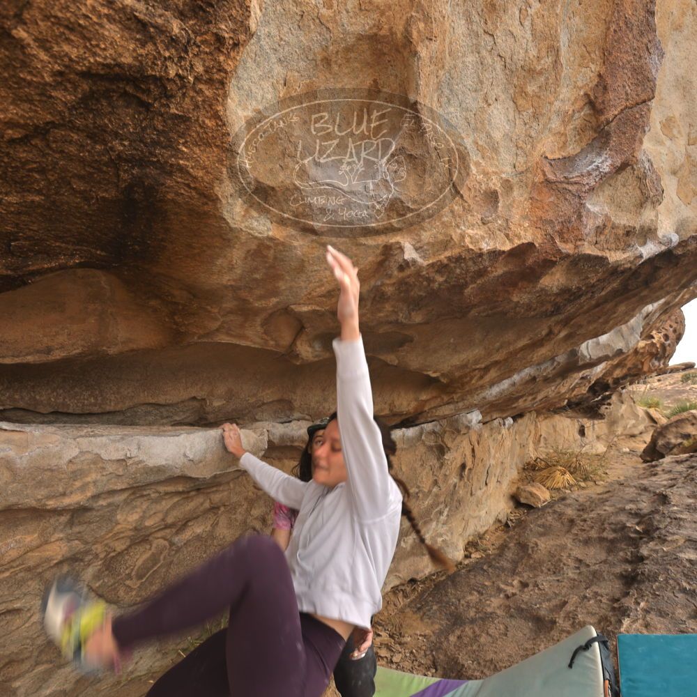 Filename: SRM_20260104_1041591.jpg
Aperture: f/5.6
Shutter Speed: 1/125
Body: Canon EOS R6
Lens: Canon EF 16-35mm f/2.8 L