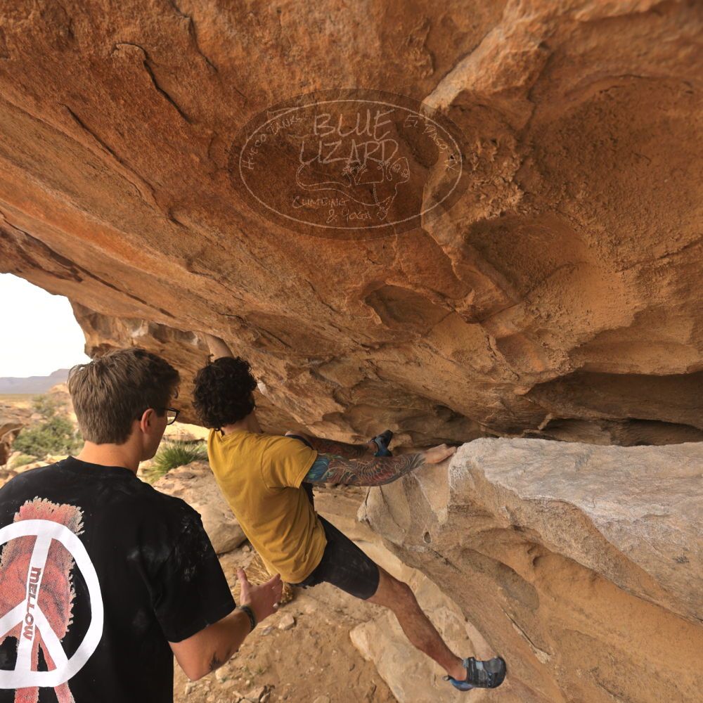 Filename: SRM_20260104_1043040.jpg
Aperture: f/5.6
Shutter Speed: 1/125
Body: Canon EOS R6
Lens: Canon EF 16-35mm f/2.8 L