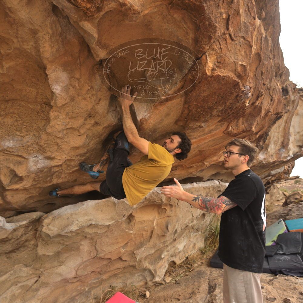 Filename: SRM_20260104_1043210.jpg
Aperture: f/5.6
Shutter Speed: 1/125
Body: Canon EOS R6
Lens: Canon EF 16-35mm f/2.8 L