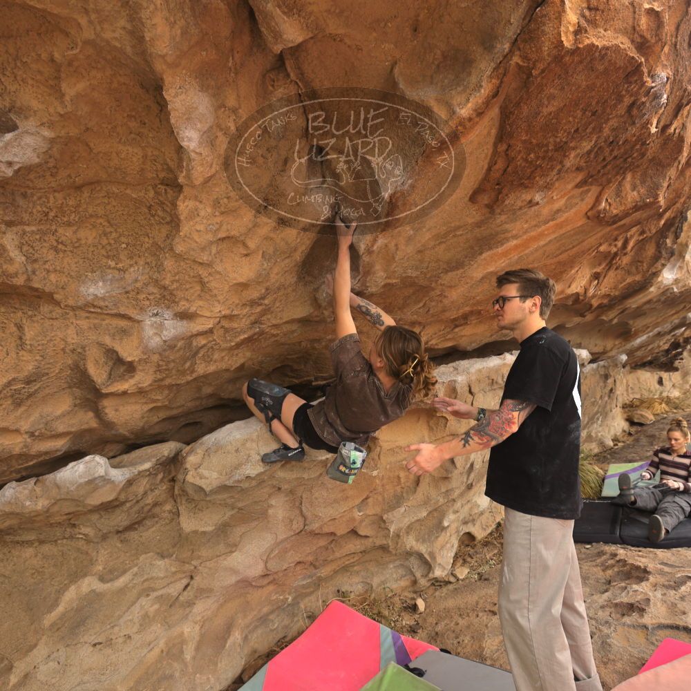 

Filename: SRM_20260104_1047350.jpg
Aperture: f/5.6
Shutter Speed: 1/125
Body: Canon EOS R6
Lens: Canon EF 16-35mm f/2.8 L