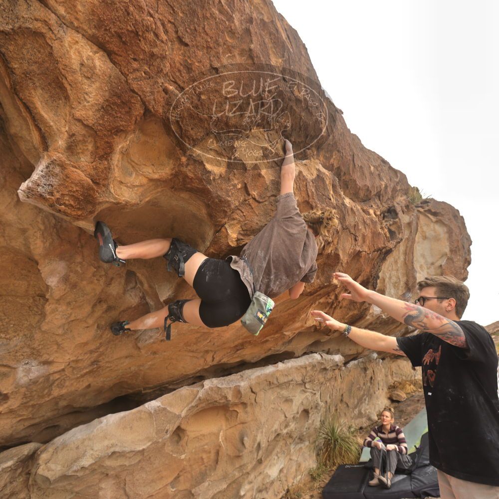 

Filename: SRM_20260104_1048120.jpg
Aperture: f/5.6
Shutter Speed: 1/125
Body: Canon EOS R6
Lens: Canon EF 16-35mm f/2.8 L