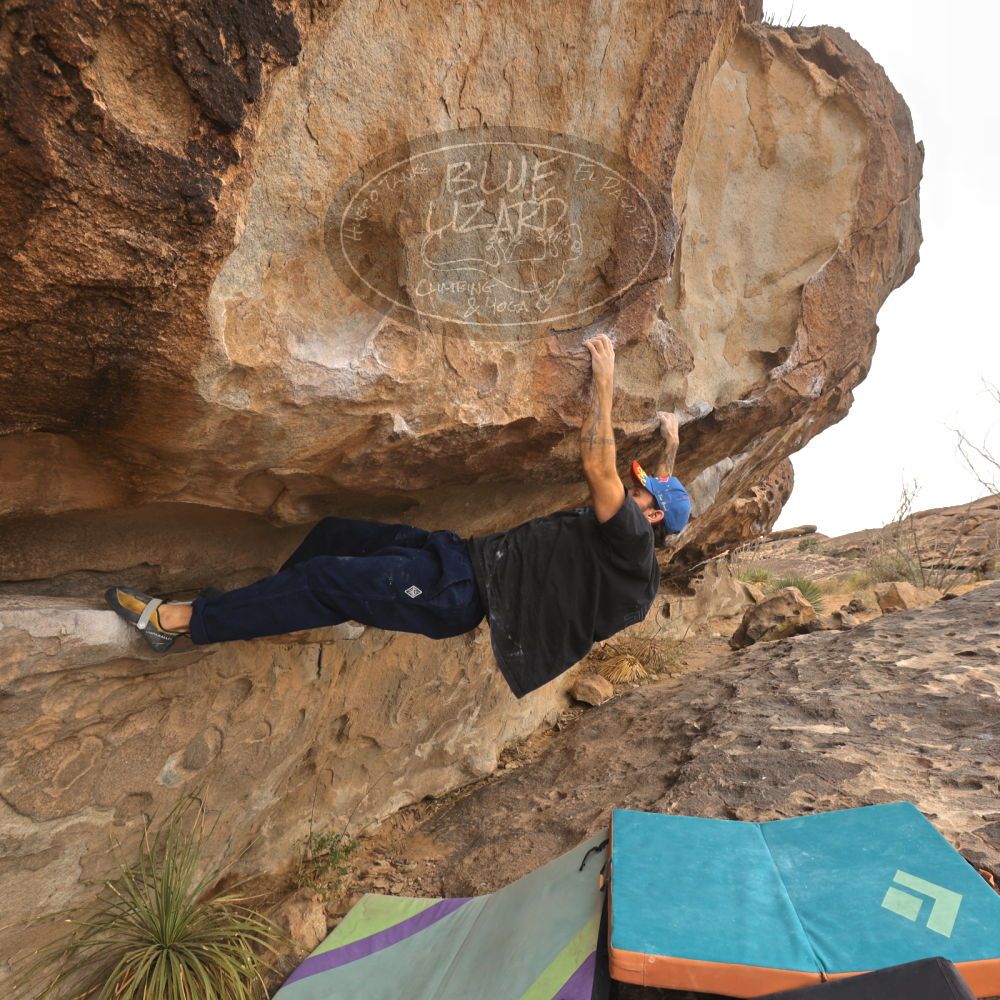 

Filename: SRM_20260104_1052590.jpg
Aperture: f/5.6
Shutter Speed: 1/125
Body: Canon EOS R6
Lens: Canon EF 16-35mm f/2.8 L