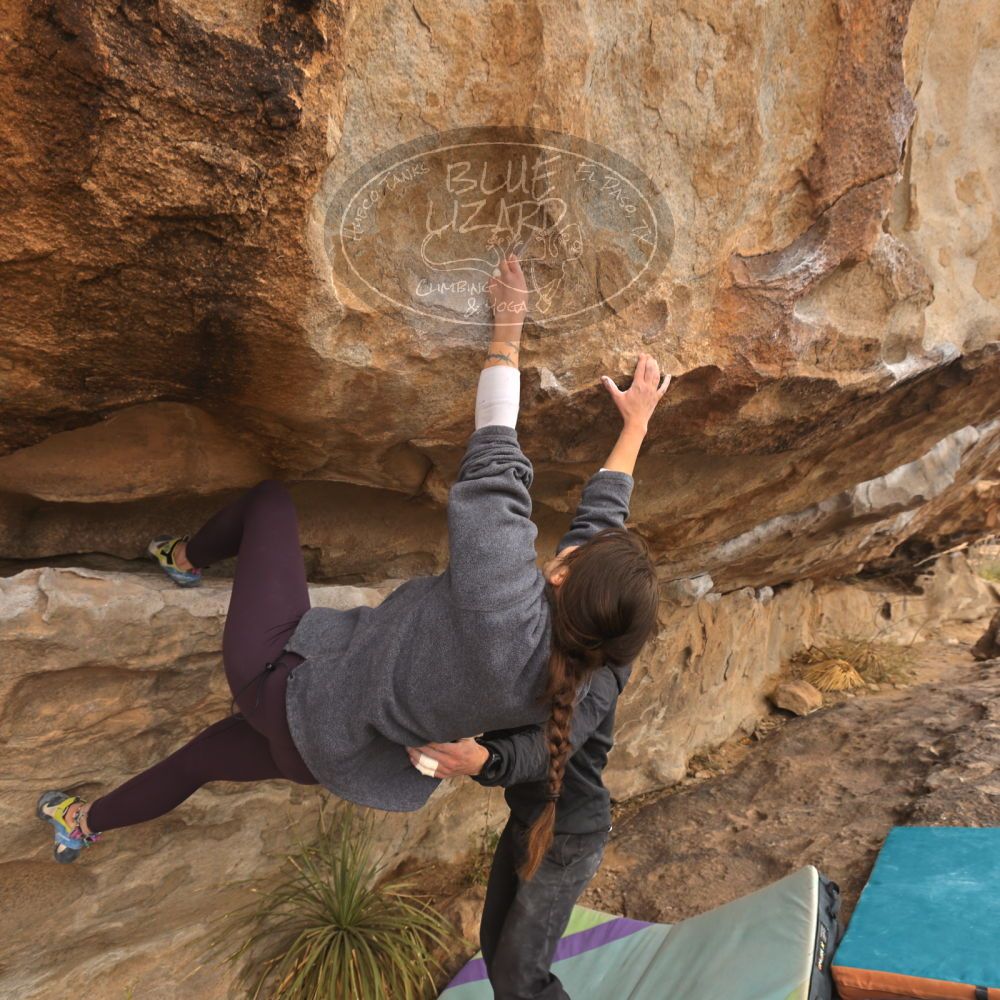 

Filename: SRM_20260104_1054540.jpg
Aperture: f/5.6
Shutter Speed: 1/125
Body: Canon EOS R6
Lens: Canon EF 16-35mm f/2.8 L