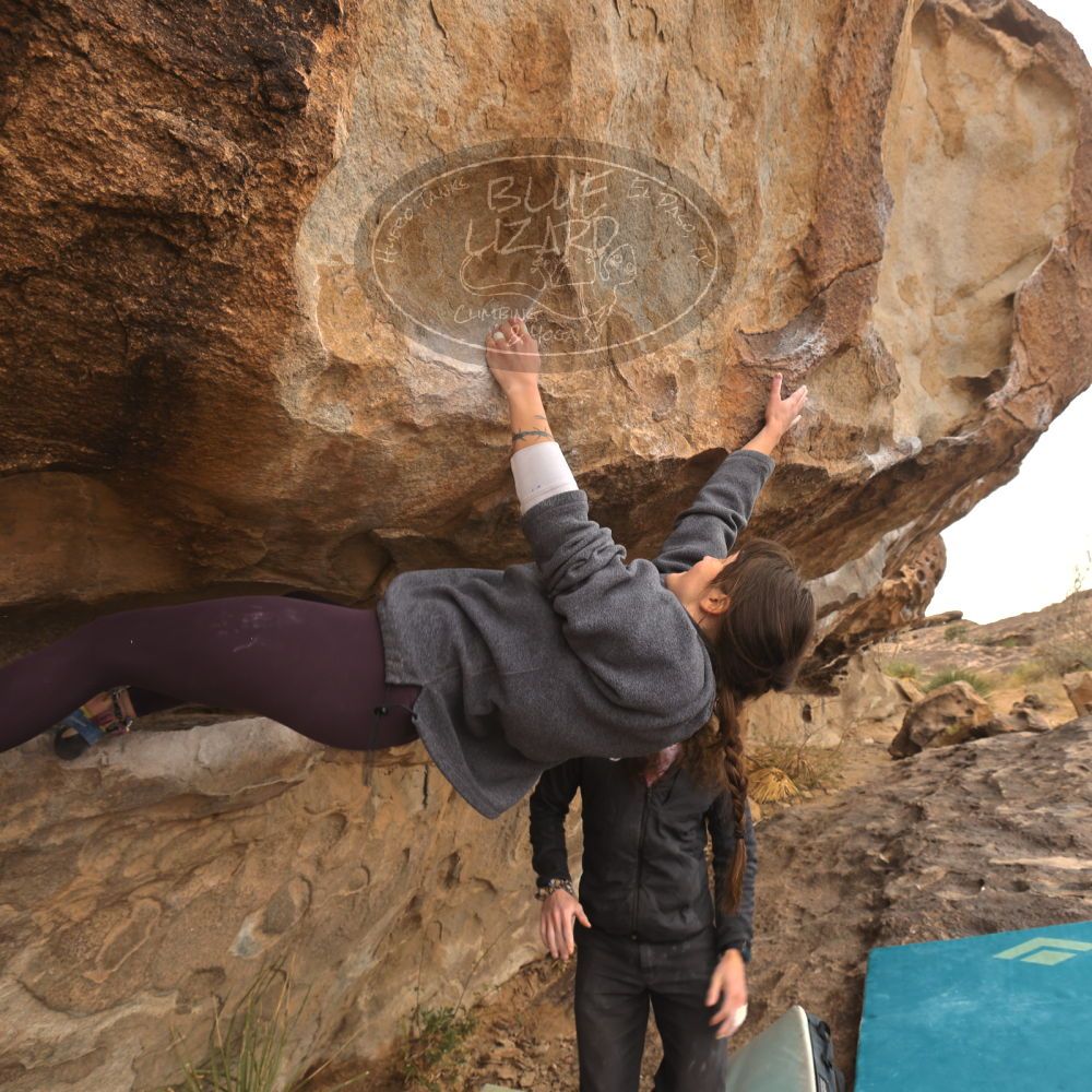 

Filename: SRM_20260104_1056180.jpg
Aperture: f/5.6
Shutter Speed: 1/125
Body: Canon EOS R6
Lens: Canon EF 16-35mm f/2.8 L