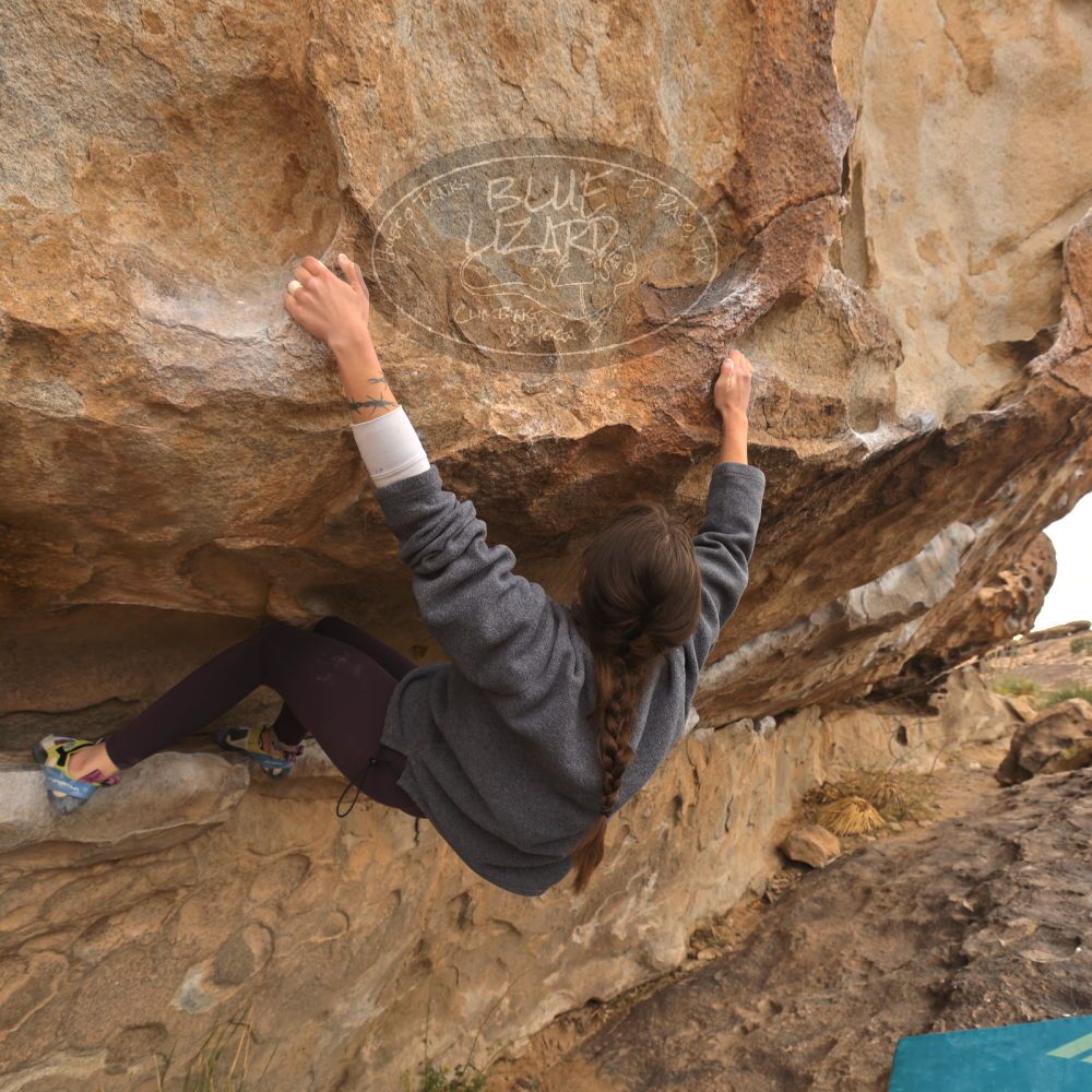 Filename: SRM_20260104_1056250.jpg
Aperture: f/5.6
Shutter Speed: 1/125
Body: Canon EOS R6
Lens: Canon EF 16-35mm f/2.8 L