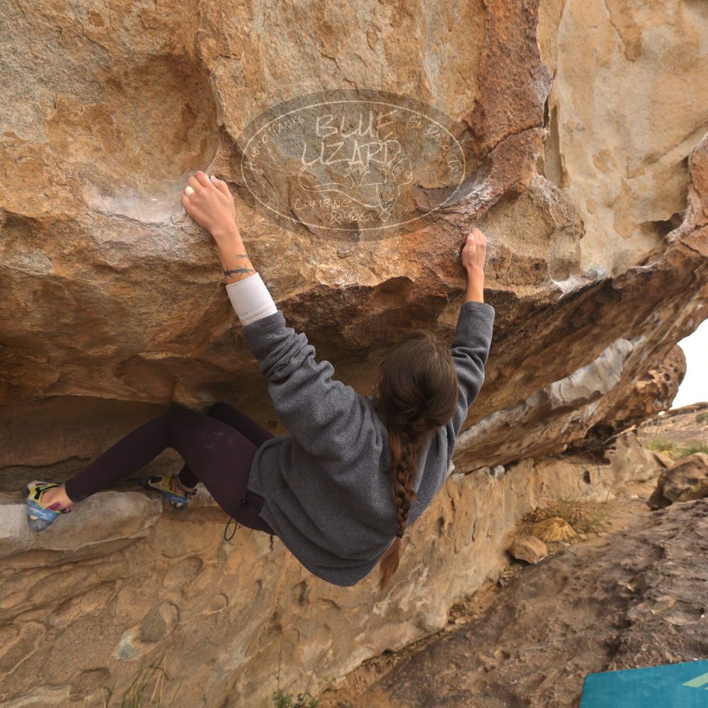 

Filename: SRM_20260104_1056251.jpg
Aperture: f/5.6
Shutter Speed: 1/125
Body: Canon EOS R6
Lens: Canon EF 16-35mm f/2.8 L