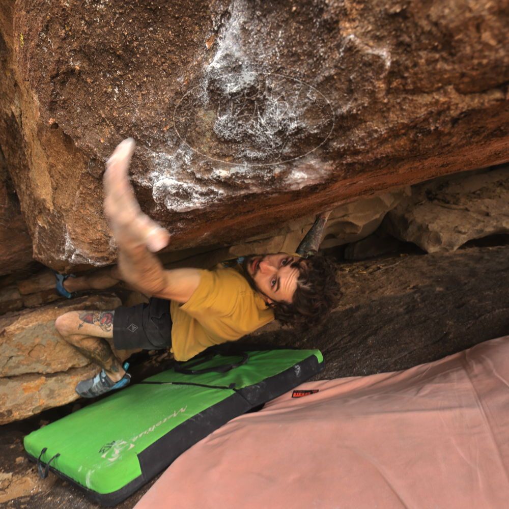 

Filename: SRM_20260104_1100330.jpg
Aperture: f/5.6
Shutter Speed: 1/125
Body: Canon EOS R6
Lens: Canon EF 16-35mm f/2.8 L