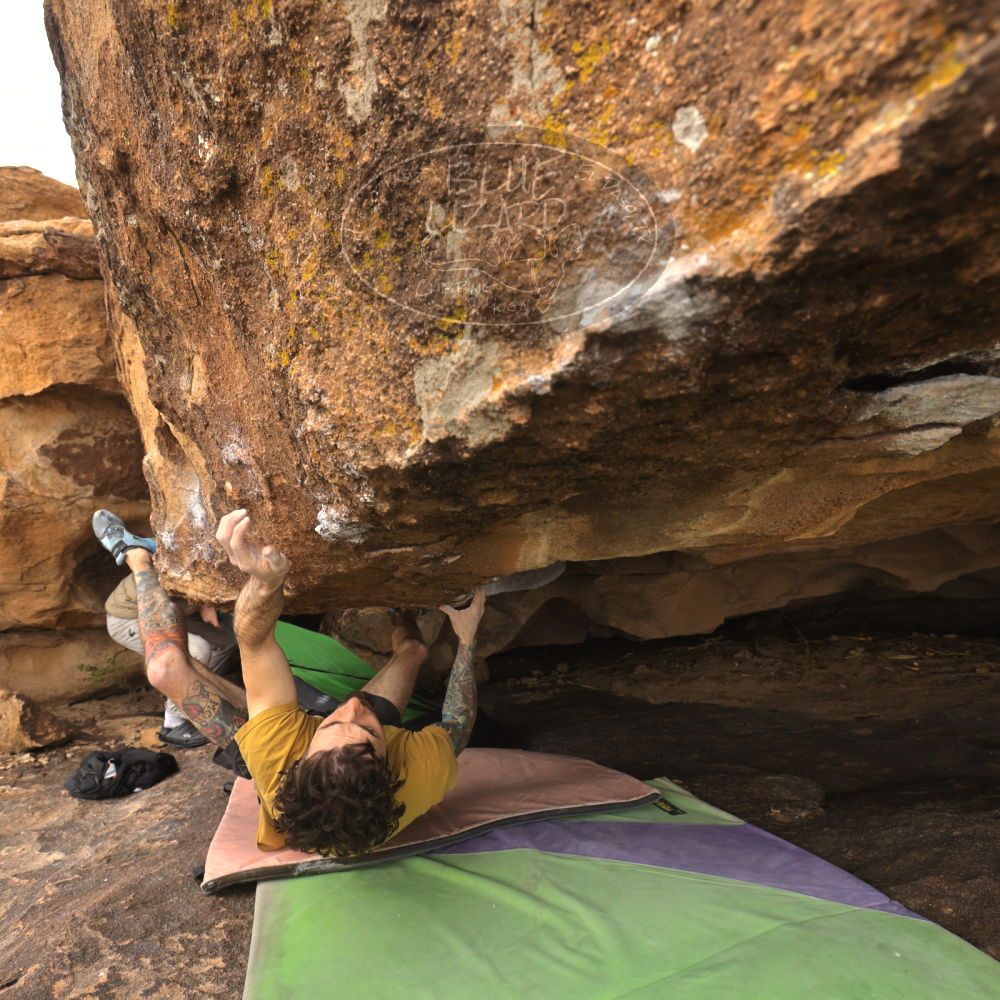 

Filename: SRM_20260104_1101020.jpg
Aperture: f/5.6
Shutter Speed: 1/125
Body: Canon EOS R6
Lens: Canon EF 16-35mm f/2.8 L