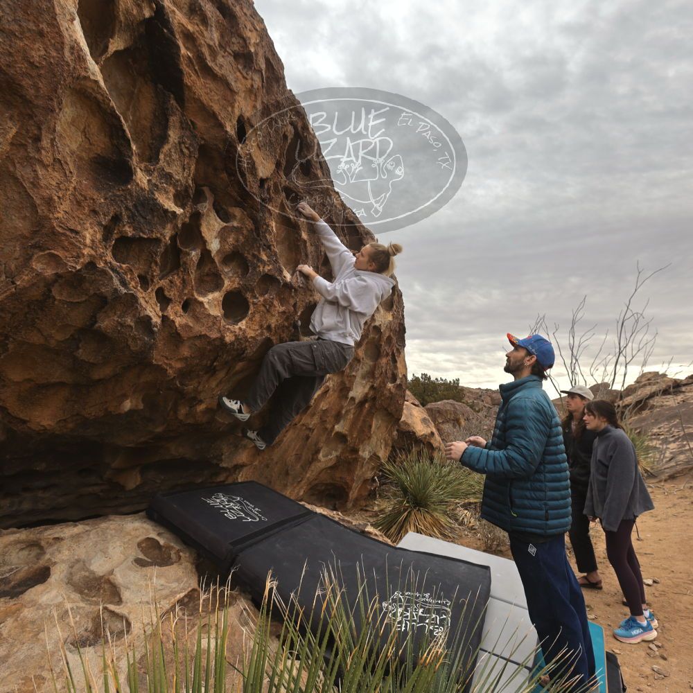 

Filename: SRM_20260104_1115200.jpg
Aperture: f/5.6
Shutter Speed: 1/320
Body: Canon EOS R6
Lens: Canon EF 16-35mm f/2.8 L