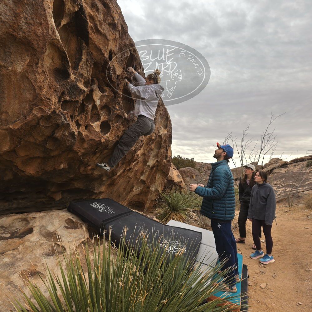 

Filename: SRM_20260104_1115240.jpg
Aperture: f/5.6
Shutter Speed: 1/320
Body: Canon EOS R6
Lens: Canon EF 16-35mm f/2.8 L