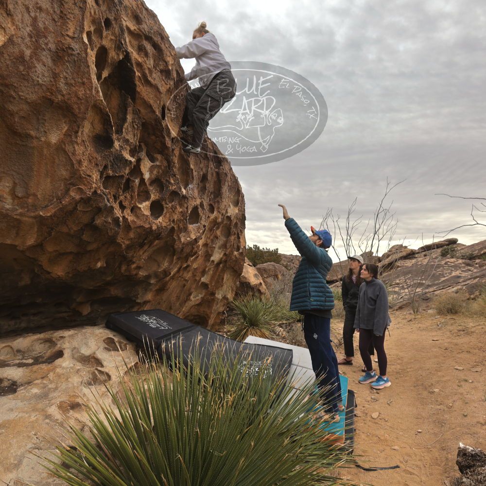 

Filename: SRM_20260104_1115350.jpg
Aperture: f/5.6
Shutter Speed: 1/320
Body: Canon EOS R6
Lens: Canon EF 16-35mm f/2.8 L