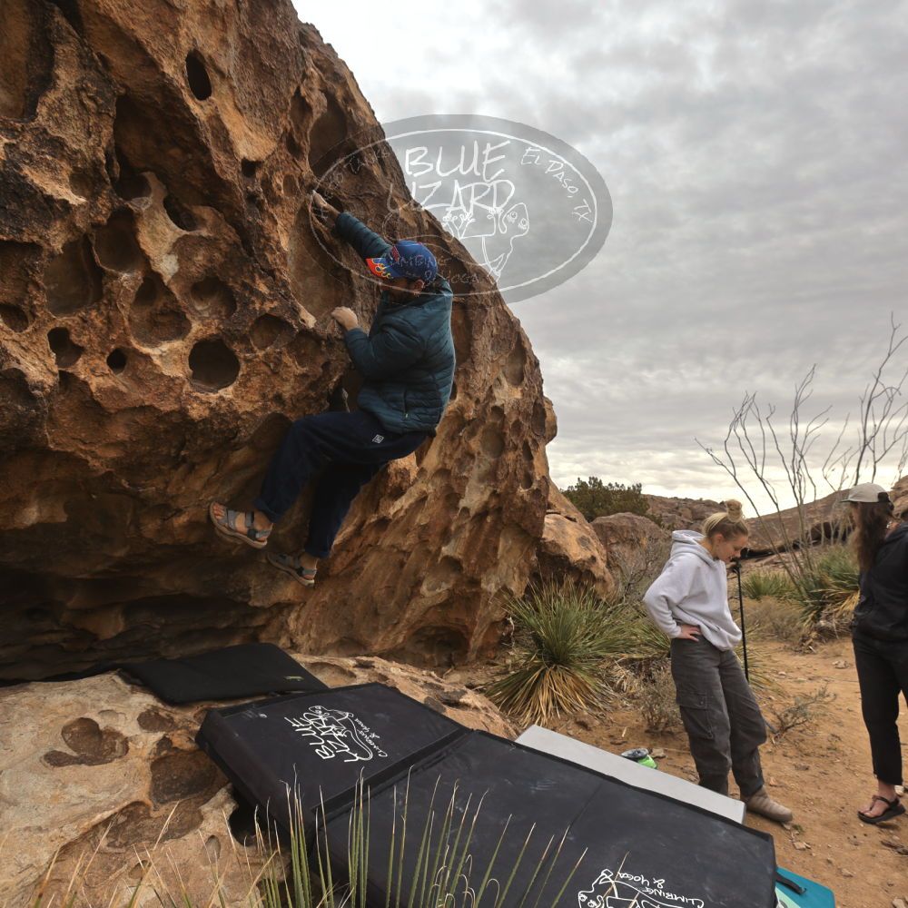 

Filename: SRM_20260104_1119560.jpg
Aperture: f/5.6
Shutter Speed: 1/320
Body: Canon EOS R6
Lens: Canon EF 16-35mm f/2.8 L