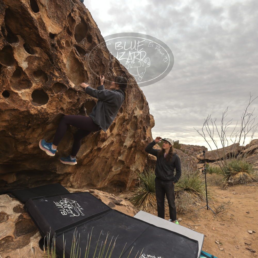 

Filename: SRM_20260104_1121140.jpg
Aperture: f/5.6
Shutter Speed: 1/320
Body: Canon EOS R6
Lens: Canon EF 16-35mm f/2.8 L