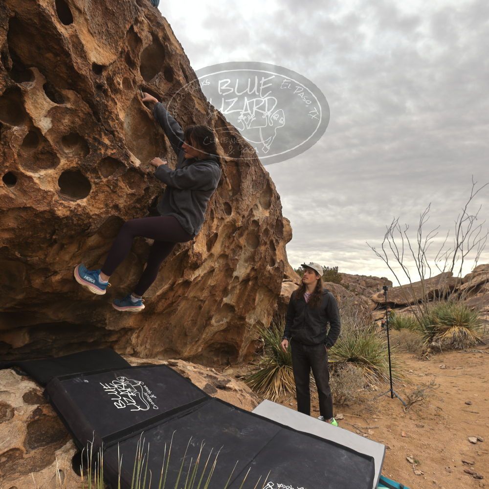 

Filename: SRM_20260104_1121150.jpg
Aperture: f/5.6
Shutter Speed: 1/320
Body: Canon EOS R6
Lens: Canon EF 16-35mm f/2.8 L