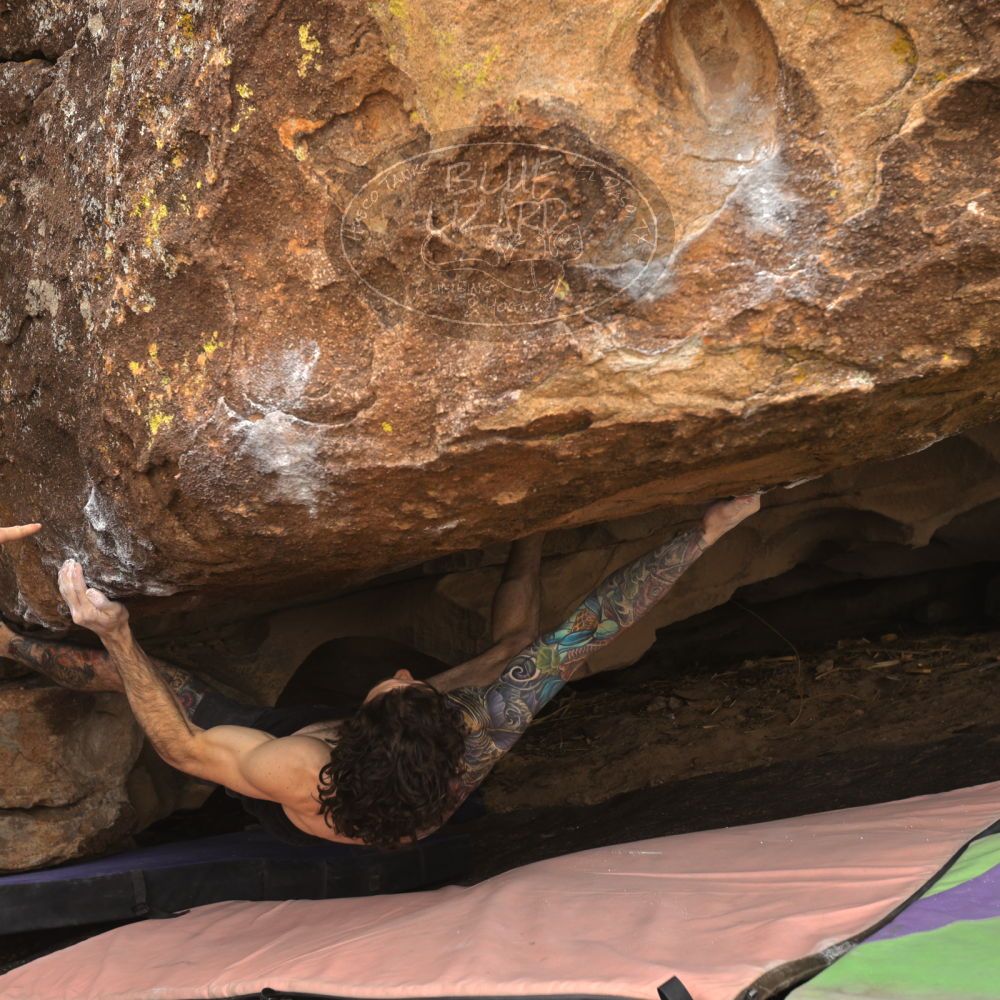 

Filename: SRM_20260104_1126120.jpg
Aperture: f/5.6
Shutter Speed: 1/320
Body: Canon EOS R6
Lens: Canon EF 16-35mm f/2.8 L