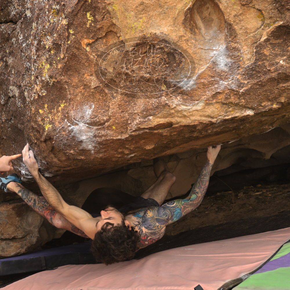 

Filename: SRM_20260104_1126140.jpg
Aperture: f/5.6
Shutter Speed: 1/320
Body: Canon EOS R6
Lens: Canon EF 16-35mm f/2.8 L