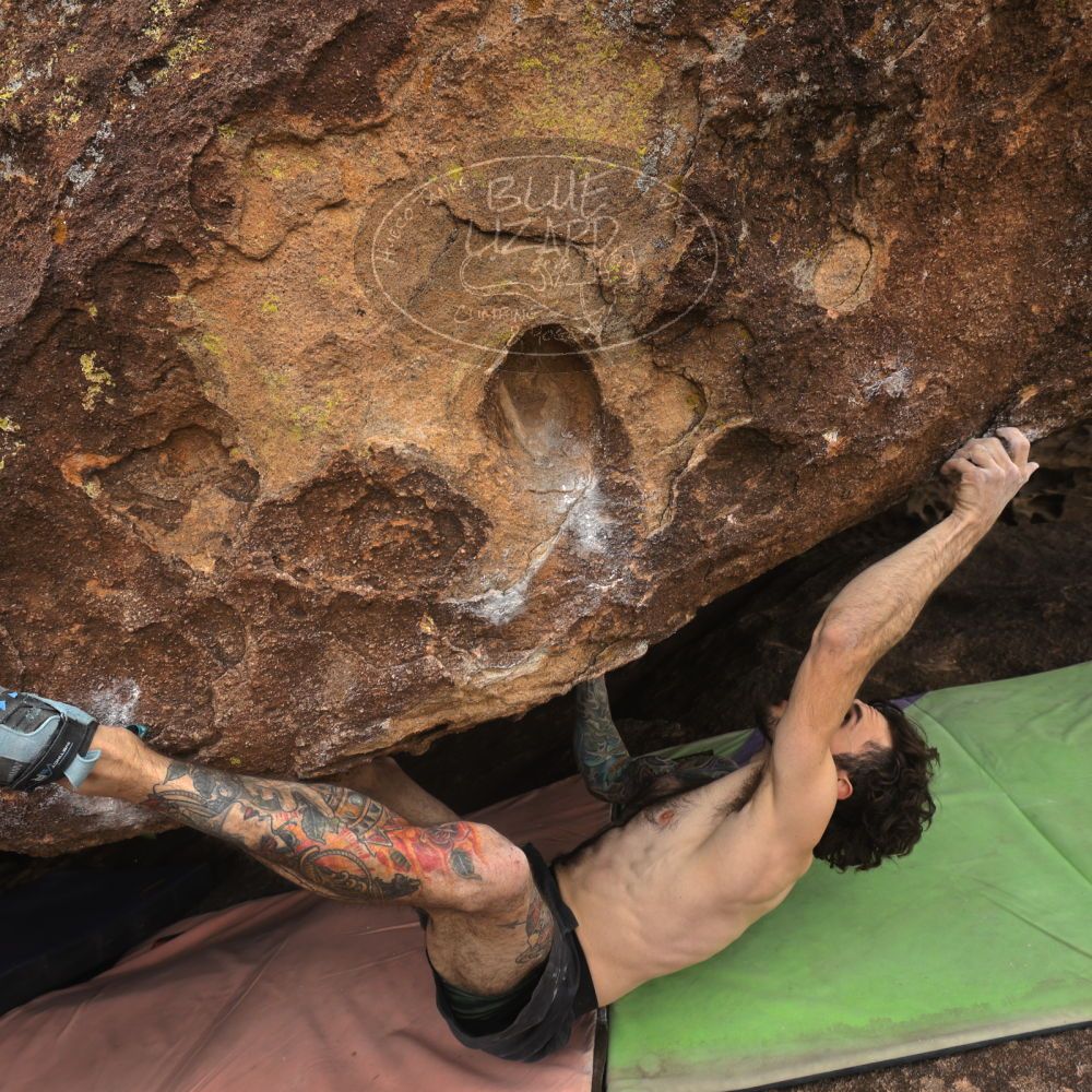 

Filename: SRM_20260104_1126310.jpg
Aperture: f/5.6
Shutter Speed: 1/320
Body: Canon EOS R6
Lens: Canon EF 16-35mm f/2.8 L