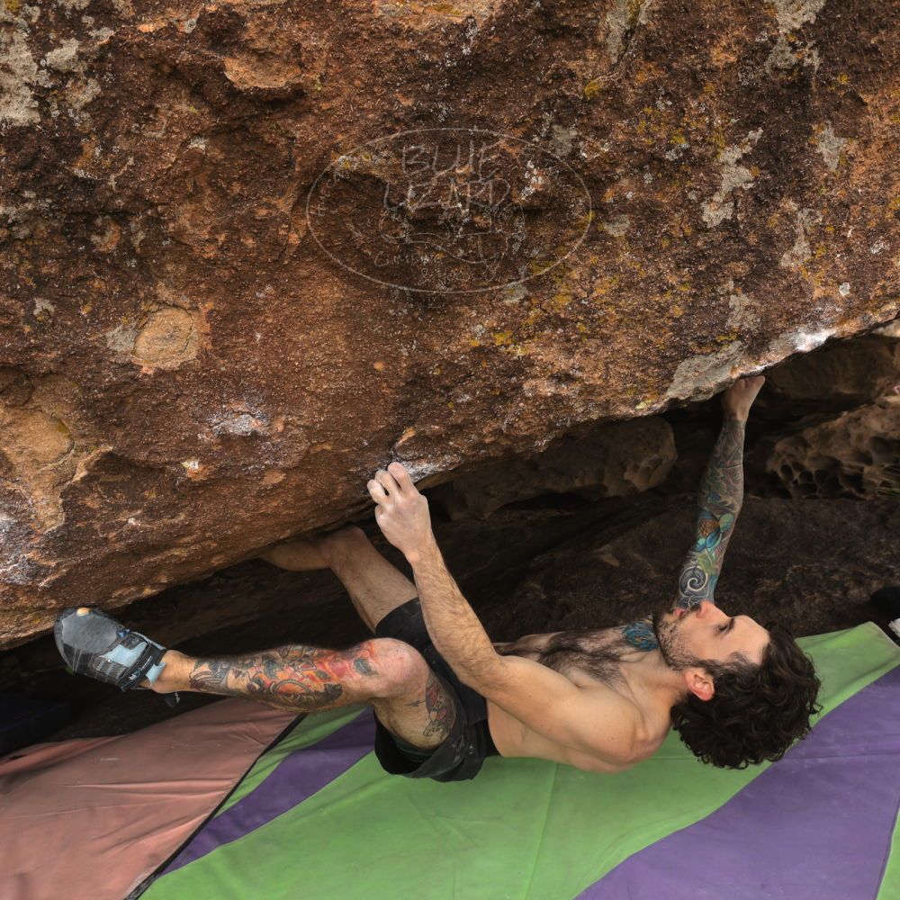 Filename: SRM_20260104_1126420.jpg
Aperture: f/5.6
Shutter Speed: 1/320
Body: Canon EOS R6
Lens: Canon EF 16-35mm f/2.8 L