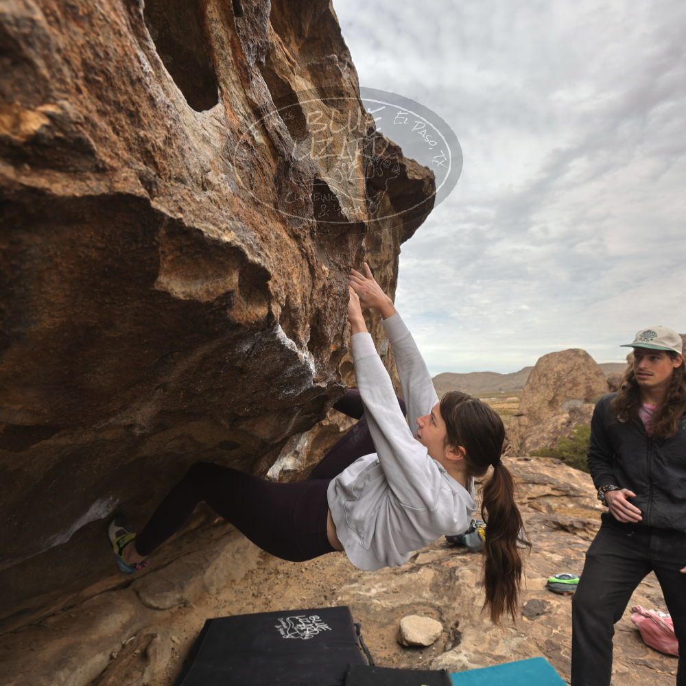 

Filename: SRM_20260104_1158130.jpg
Aperture: f/5.6
Shutter Speed: 1/320
Body: Canon EOS R6
Lens: Canon EF 16-35mm f/2.8 L