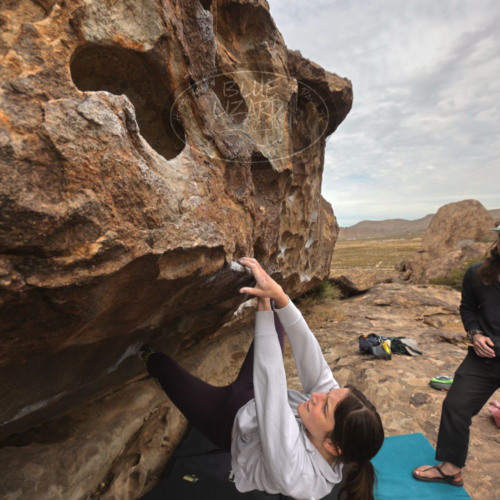 

Filename: SRM_20260104_1158200.jpg
Aperture: f/5.6
Shutter Speed: 1/320
Body: Canon EOS R6
Lens: Canon EF 16-35mm f/2.8 L