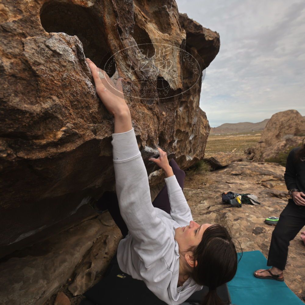 

Filename: SRM_20260104_1158270.jpg
Aperture: f/5.6
Shutter Speed: 1/500
Body: Canon EOS R6
Lens: Canon EF 16-35mm f/2.8 L