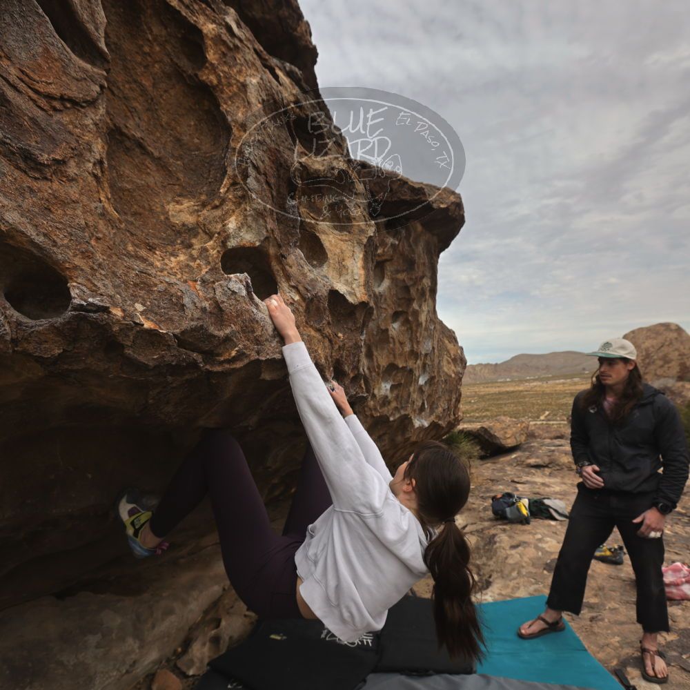 

Filename: SRM_20260104_1158370.jpg
Aperture: f/5.6
Shutter Speed: 1/500
Body: Canon EOS R6
Lens: Canon EF 16-35mm f/2.8 L