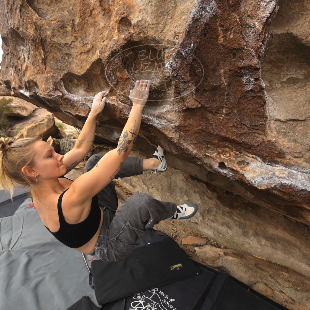 

Filename: SRM_20260104_1201290.jpg
Aperture: f/5.6
Shutter Speed: 1/500
Body: Canon EOS R6
Lens: Canon EF 16-35mm f/2.8 L