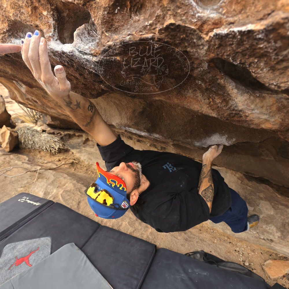 

Filename: SRM_20260104_1202510.jpg
Aperture: f/5.6
Shutter Speed: 1/500
Body: Canon EOS R6
Lens: Canon EF 16-35mm f/2.8 L