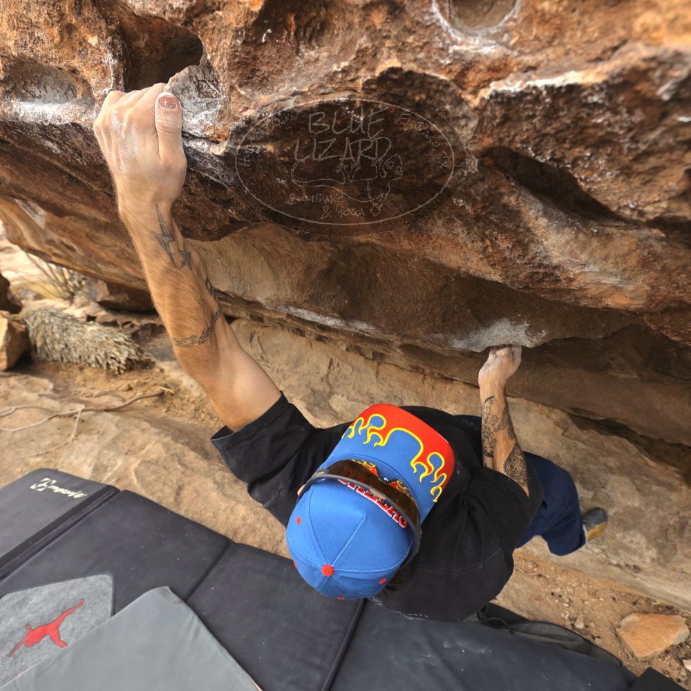 

Filename: SRM_20260104_1202511.jpg
Aperture: f/5.6
Shutter Speed: 1/500
Body: Canon EOS R6
Lens: Canon EF 16-35mm f/2.8 L