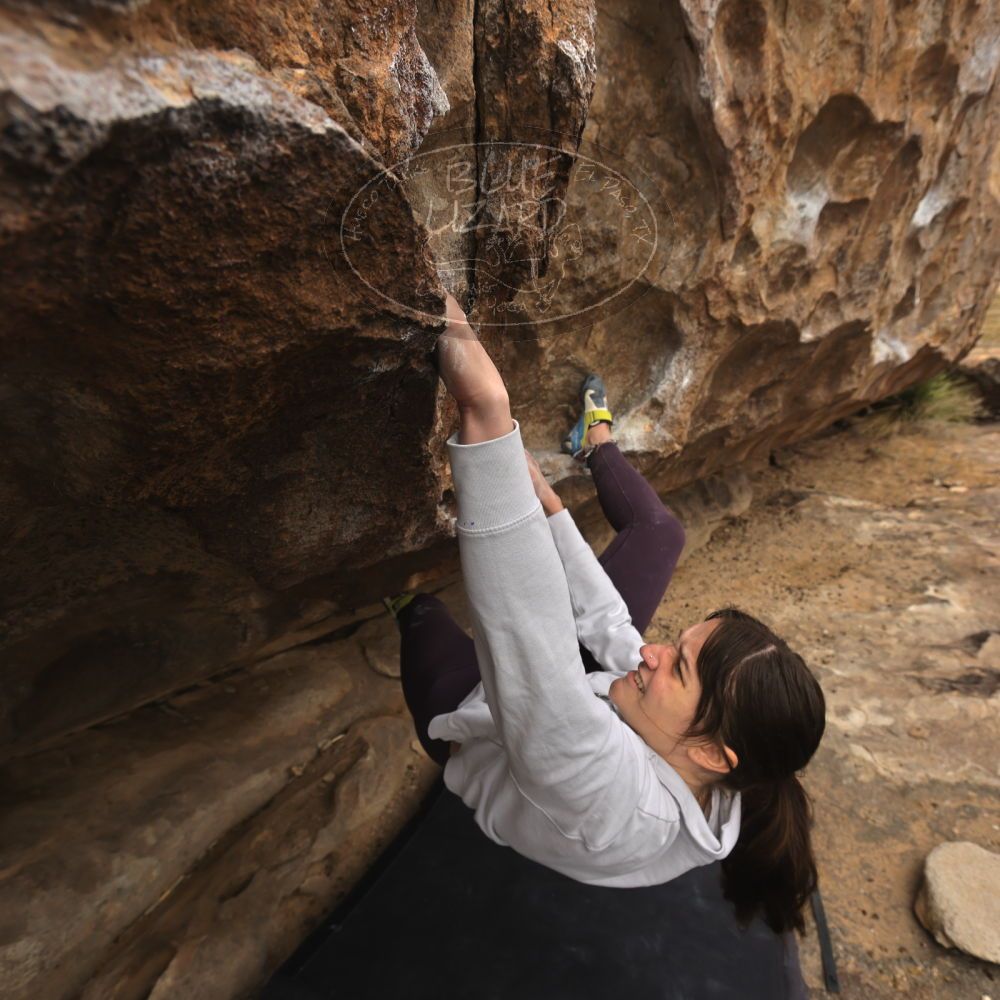 

Filename: SRM_20260104_1209240.jpg
Aperture: f/5.6
Shutter Speed: 1/500
Body: Canon EOS R6
Lens: Canon EF 16-35mm f/2.8 L